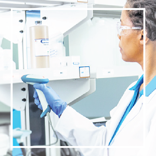 Hygiene / Chemicals Services